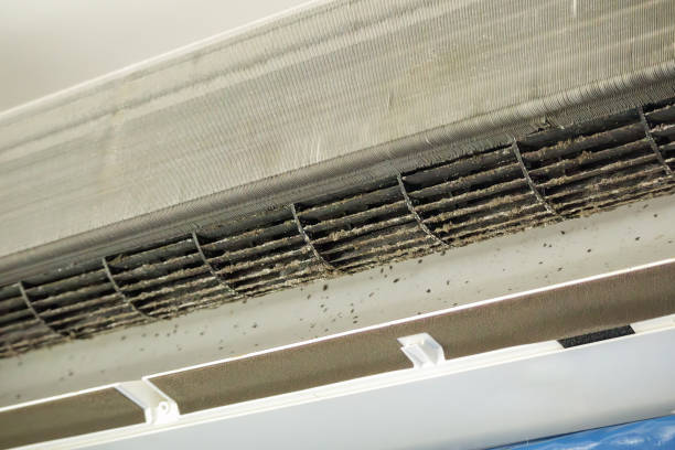 Best Professional Duct Cleaning Services  in Loxahatchee Groves, FL